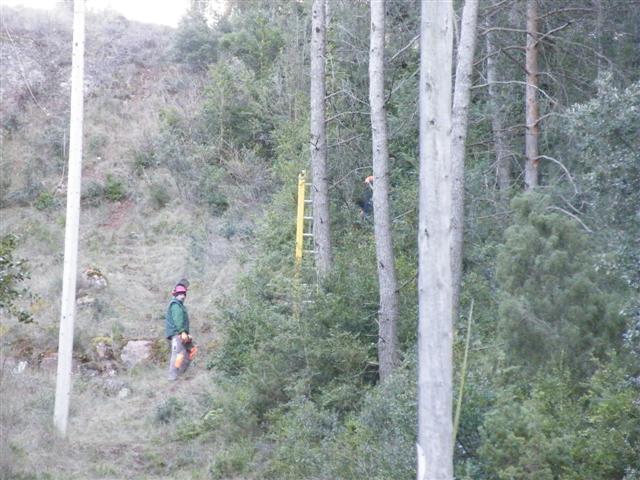 treballs lnia mitja tensi small